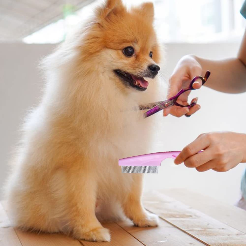 Pet Grooming Comb Kit Tear Stain & Massage Brush