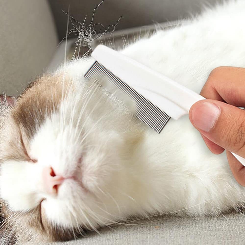 Pet Grooming Comb Kit Tear Stain & Massage Brush