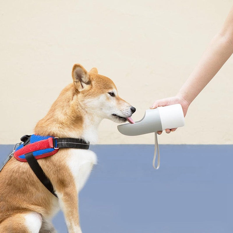Splash-Proof Pet Water Bottle with One-Key Lock