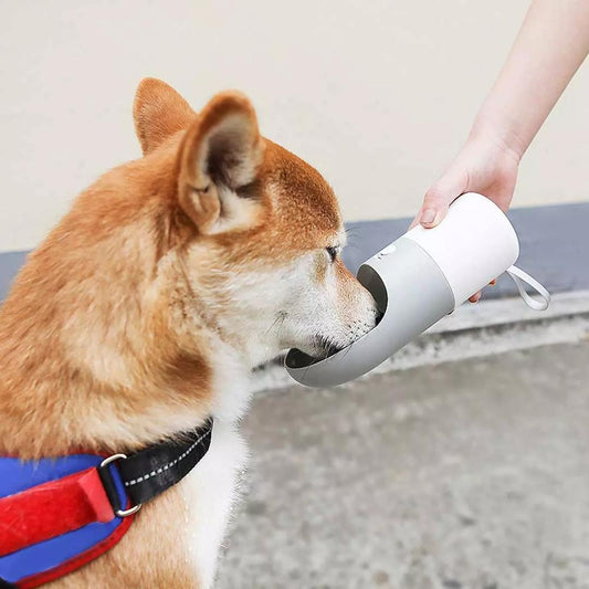 Splash-Proof Pet Water Bottle with One-Key Lock