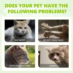 Yegbong Calming Catnip Spray for Anxiety Relief & Energy Boost