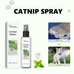 Yegbong Calming Catnip Spray for Anxiety Relief & Energy Boost