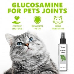 Yegbong Calming Catnip Spray for Anxiety Relief & Energy Boost