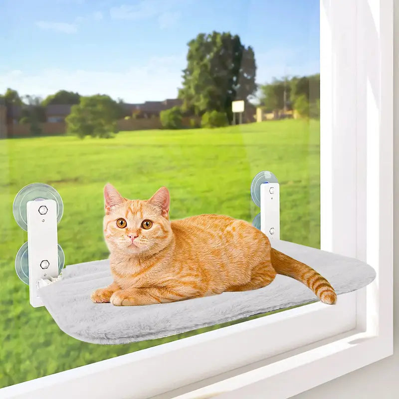 Cat Window Perch with Suction Cup + FREE 2 Pcs Pet Hair Remover Gloves