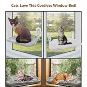 Cat Window Perch with Suction Cup + FREE 2 Pcs Pet Hair Remover Gloves