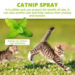 Yegbong Calming Catnip Spray for Anxiety Relief & Energy Boost