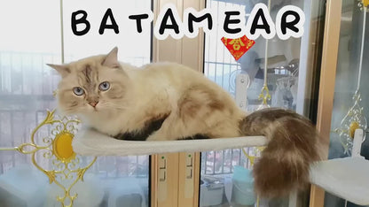Cat Window Perch with Suction Cup + FREE 2 Pcs Pet Hair Remover Gloves
