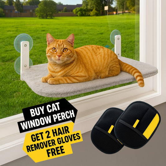 Cat Window Perch with Suction Cup + FREE 2 Pcs Pet Hair Remover Gloves